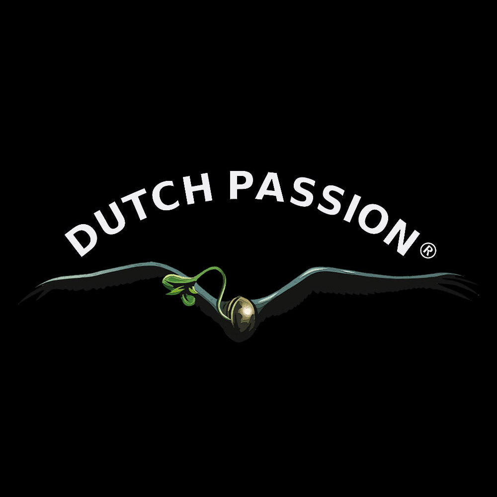Logo mit dem Text DUTCH PASSION über einem stilisierten schwarzen Vogel im Flug, der einen grünen, sprießenden Samen im Schnabel hält, alles auf schwarzem Hintergrund.