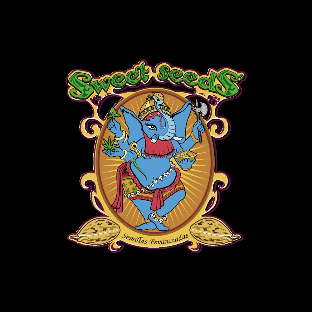 Farbenfrohes Logo für Sweet Seeds mit einer blauen, mehrarmigen, elefantenköpfigen Gottheit in kunstvollem Gewand, die verschiedene Gegenstände in der Hand hält, umrahmt von einem goldenen Oval mit leuchtenden Strahlen und dem Text "Semillas Feminizadas".