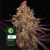 Ayahuasca Purple