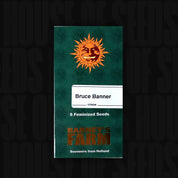 Grünes Barney’s Farm Bruce Banner Päckchen mit orangefarbenem Sonnenlogo, Aufschrift 5 feminisierte Samen und Souvenirs from Holland