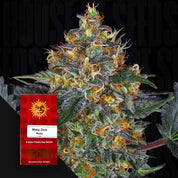 BF-MDA-0
