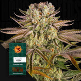 Pineapple Express