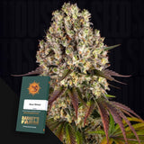 Sour Diesel