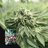 RLX OG