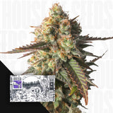 Slurricane Cookies