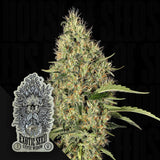 Gipsy Widow
