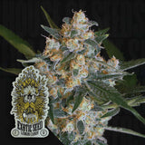 Lemon Candy