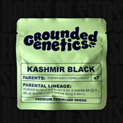 Lindgrüne Kashmir Black Verpackung von Grounded Genetics für feminisierte Samen mit Sortenabstammung und Infos darunter