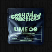 Schwarze Grounded Genetics Verpackung Lime OG mit grünen Details und Aufschrift 7 feminisierte Samen
