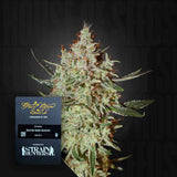 GH Cheese
