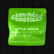Leuchtend grüne Grounded Genetics Verpackung für Apple Drops mit Kreuzung Fritter Licker x RS11 und Hinweis auf limitierte Auflage