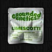 Weißes Grounded Genetics Samenpaket Limescotti mit grünem Text und Aufschrift 7 feminisierte Samen vor dunklem Hintergrund