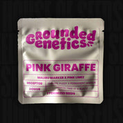 Eine weiße Packung mit Pink Giraffe-Samen, die Informationen zur Kreuzung sowie 7 feminisierte Samen enthält.