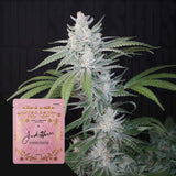 Candied Peaches