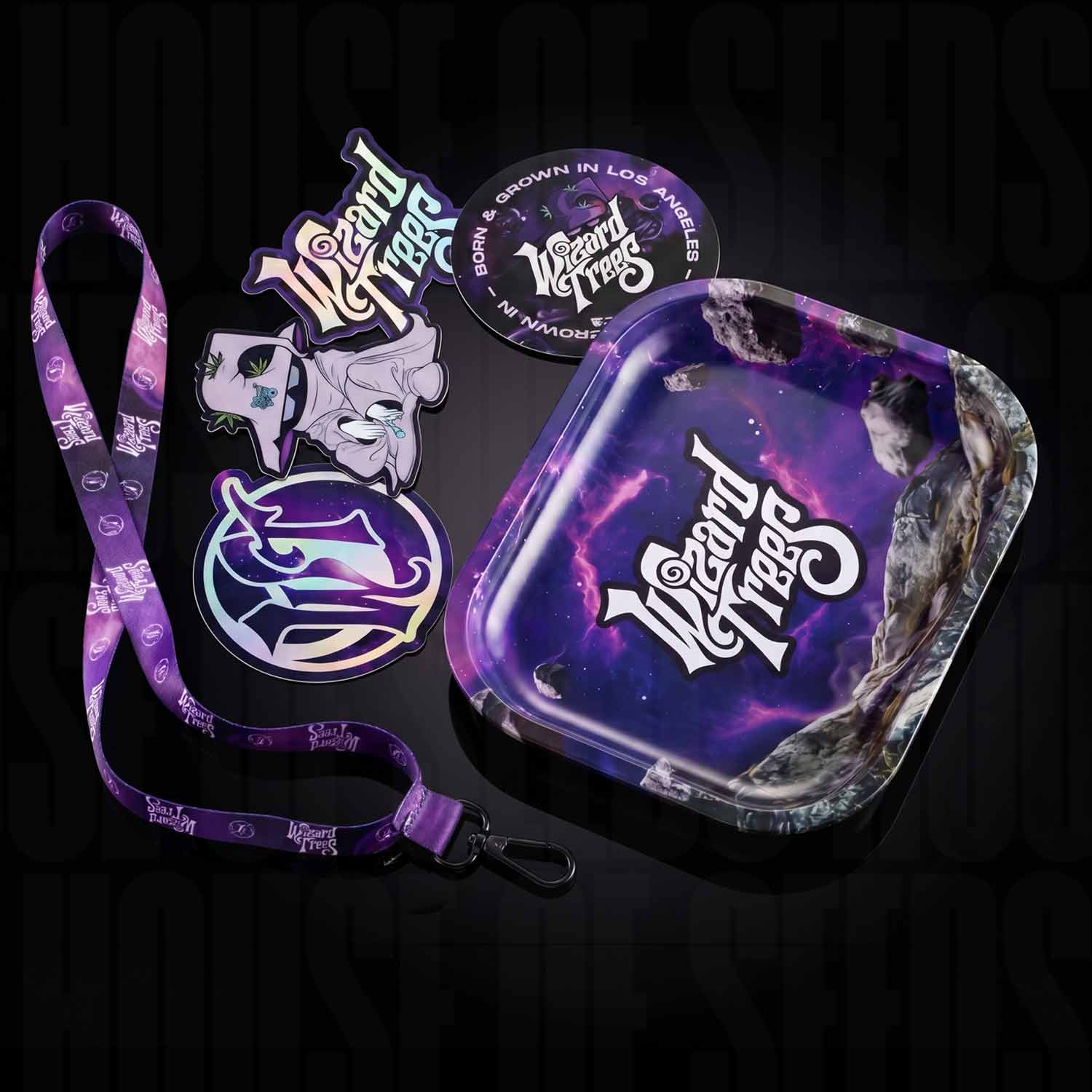 Wizard Trees Merch-Paket: lila Schlüsselband, Aufkleber und ein Tablett mit Galaxie-Motiv und dem Wizard Trees-Logo.