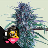 Banana Brawler