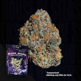 Potion