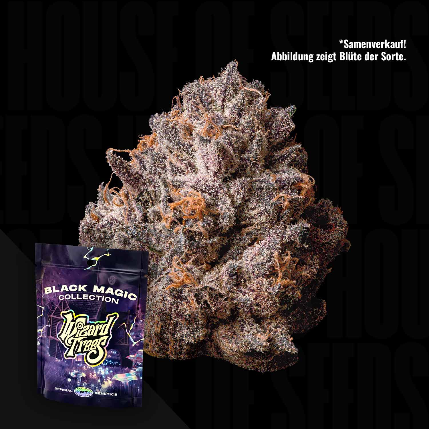 WZT-TTR-0