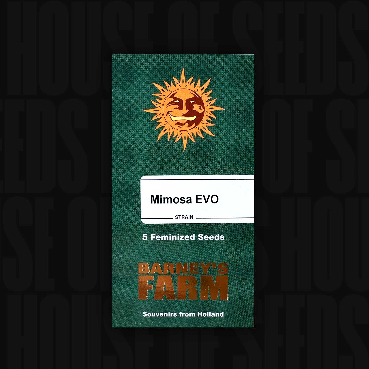 Grünes Barney’s Farm Päckchen Mimosa EVO mit orangefarbenem Sonnenlogo, Aufschrift 5 feminisierte Samen und Text Souvenirs from Holland