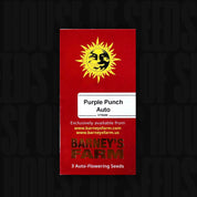 Rote Verpackung für Purple Punch Auto von Barneys Farm für 3 Auto-Flowering Seeds mit Sonne und Text Souvenirs from Holland